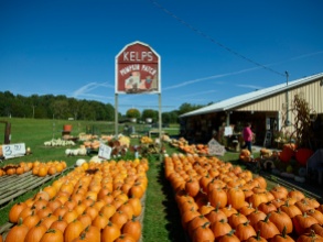 An array of pumpkins, ready for the autumn customer rush at the Kelp's Pumpkin Patch stand near Nashville in Brown County, Indiana. Photo by Carol M. Highsmith Photography, Inc., courtesy Library of Congress Prints and Photographs Division: http://www.loc.gov/pictures/item/2016631899/